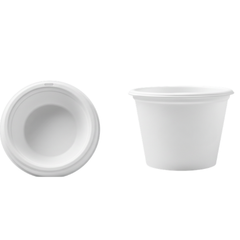 8 OZ Bowl 240 ML Bagasse