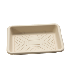 230 × 170 × H30 MM Rectangular Tray - Bagasse