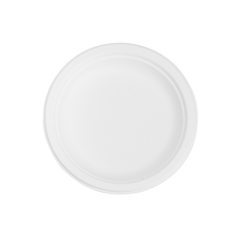 10 Inch Round Plate Bagasse