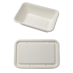 500 ML Box Narrow Side Bagasse