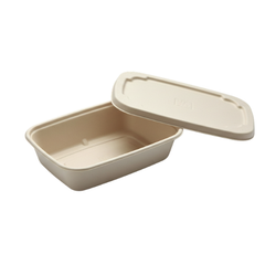 790 ML Square Box Bagasse