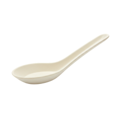 Chinese spoon - Bagasse