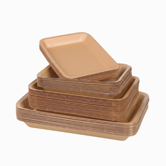 BIO-1 Tray
