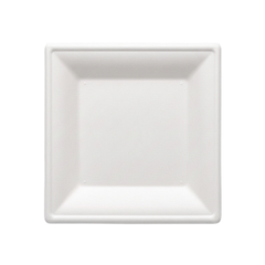 10 Inch Square Plate Bagasse